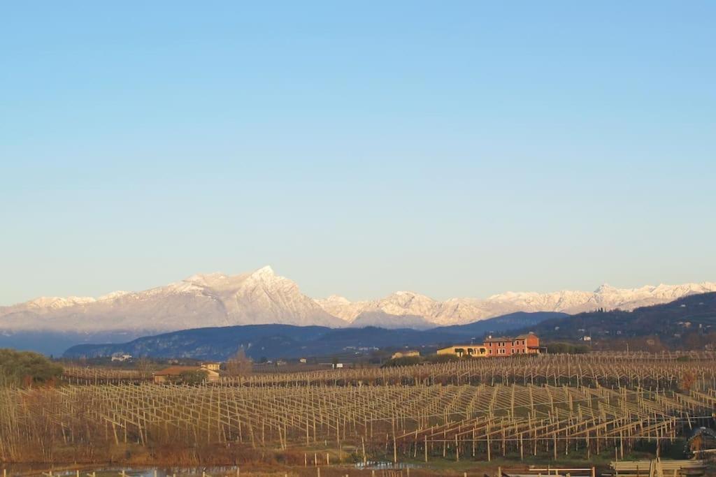Country Apartment, Near Bardolino And Lazise Calmasino Exterior foto